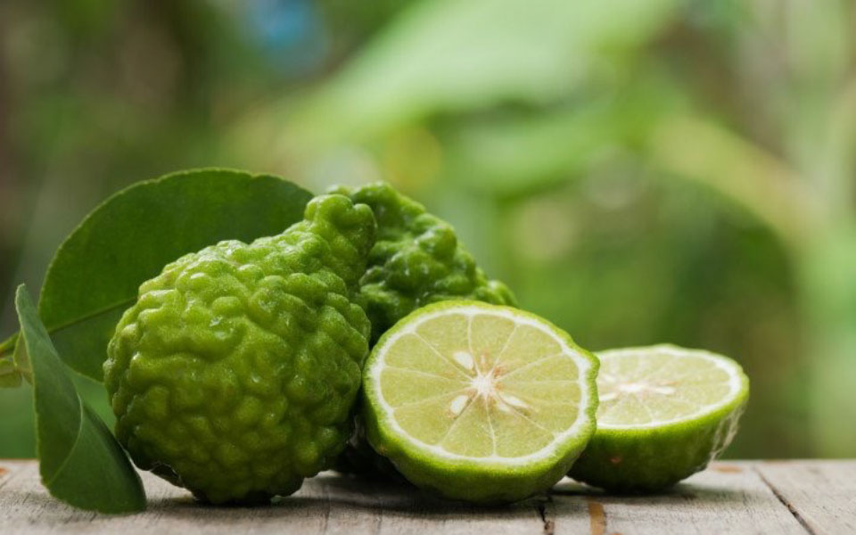 GİZLİ BİR KAHRAMAN: BERGAMOT